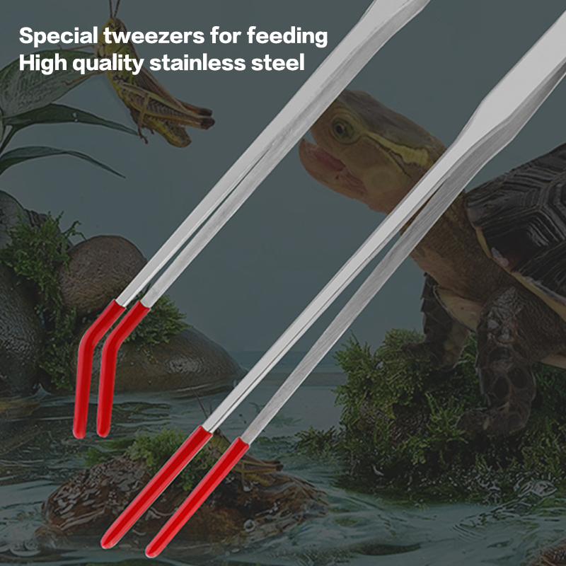 Reptile Feeding Tongs with Rub - Feeding Tong Stainless review and price