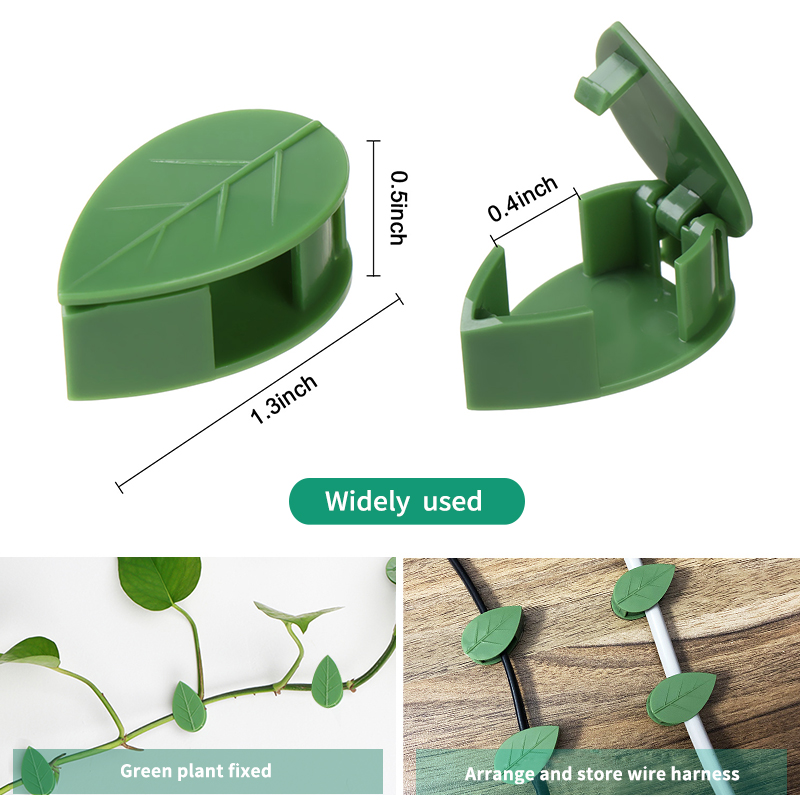 Invisible Plant Climbing Wall  - Vine Climbing Plastic review and price