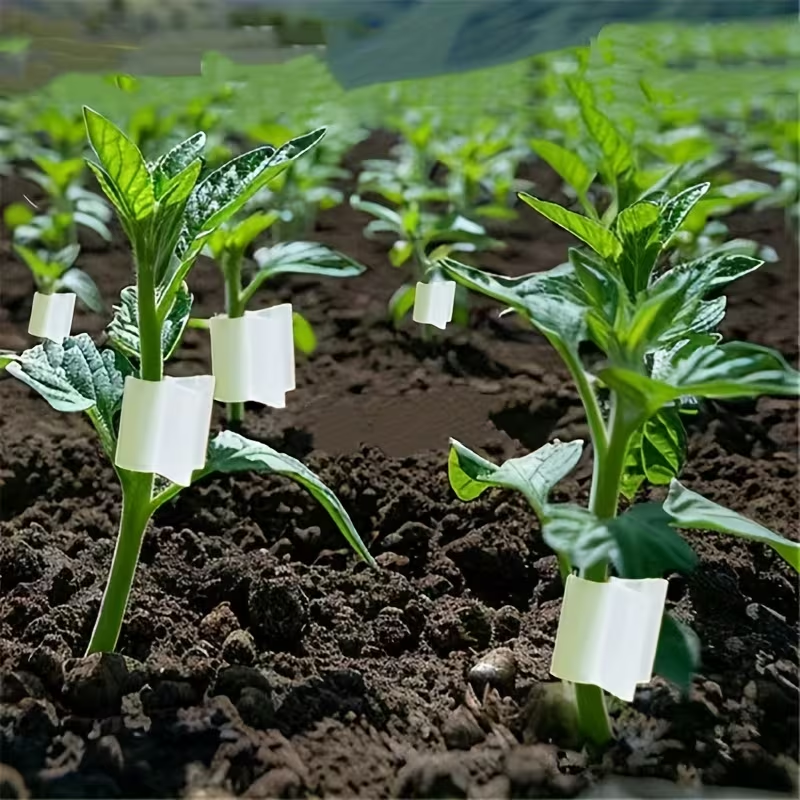 50pcs Agriculture Grafting Cli - Vine Climbing Plastic review and price