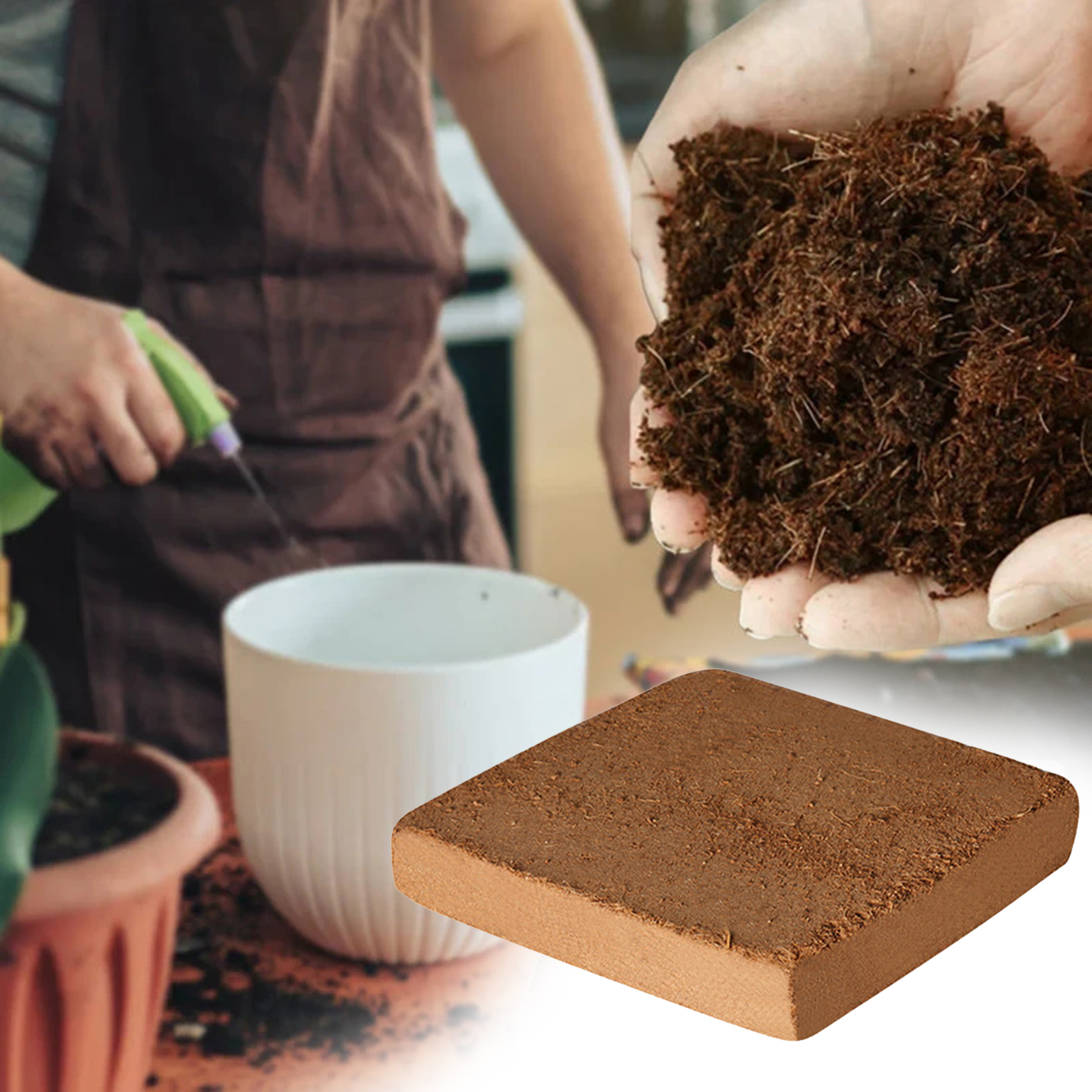 Soil Coconut Fibre Terrarium S - Substrate Coconut Fiber review and price