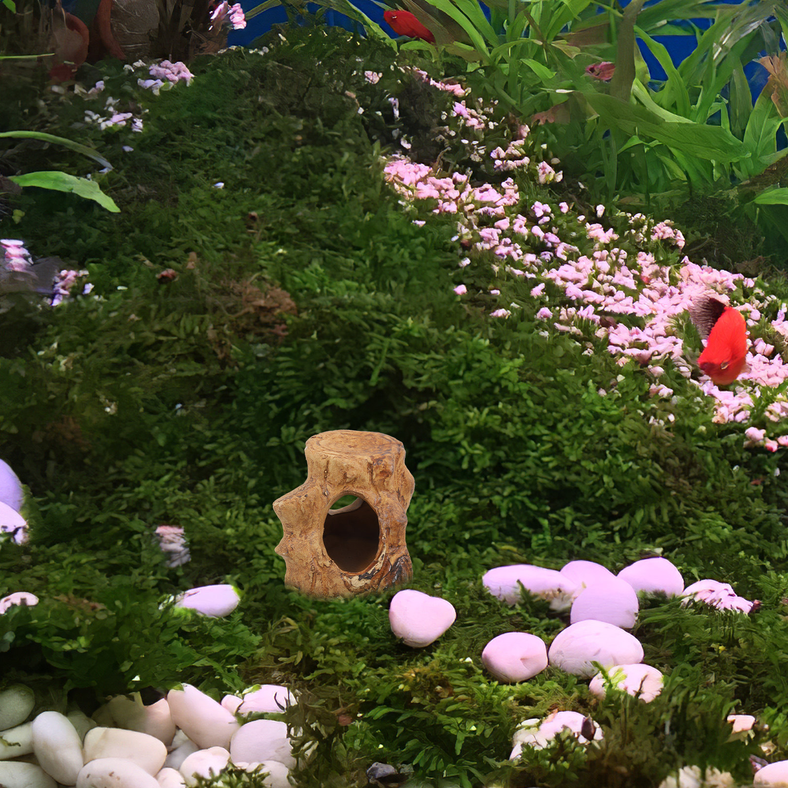 Premium Ceramic Aquarium Caves - Hide Cave Ceramic review and price