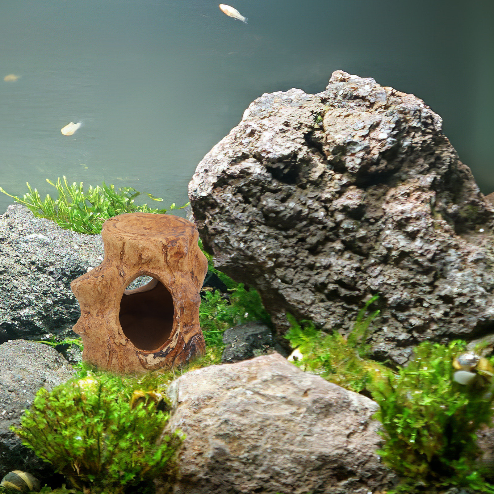 Premium Ceramic Aquarium Caves - Hide Cave Ceramic review and price