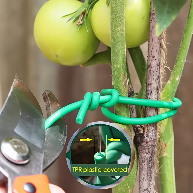 1Roll Heavy-Duty Garden Cable  - Vine Climbing Plastic review and price