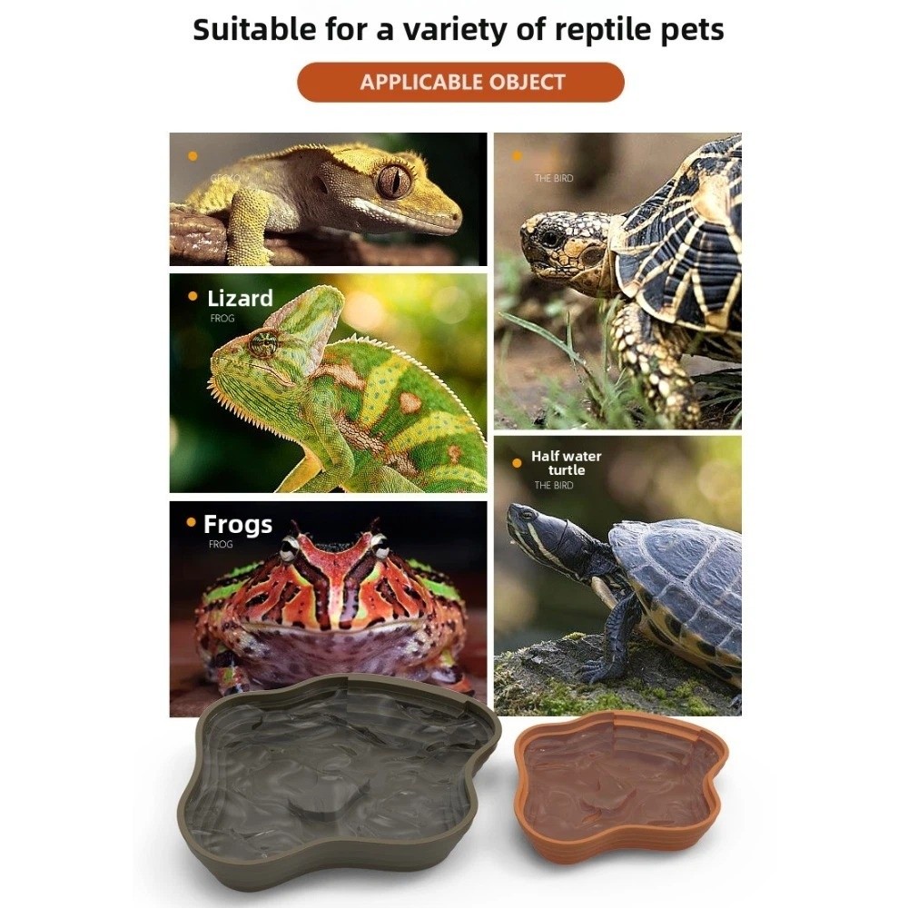 New Plastic Turtle Water Basin - Water Dish Reptile review and price