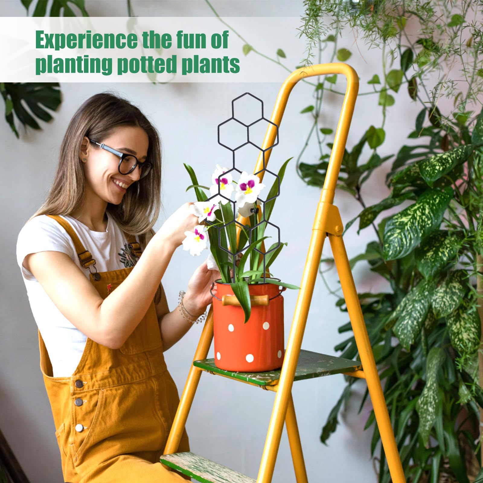 1PC Honeycomb Design Plant Tre - Vine Climbing Plastic review and price