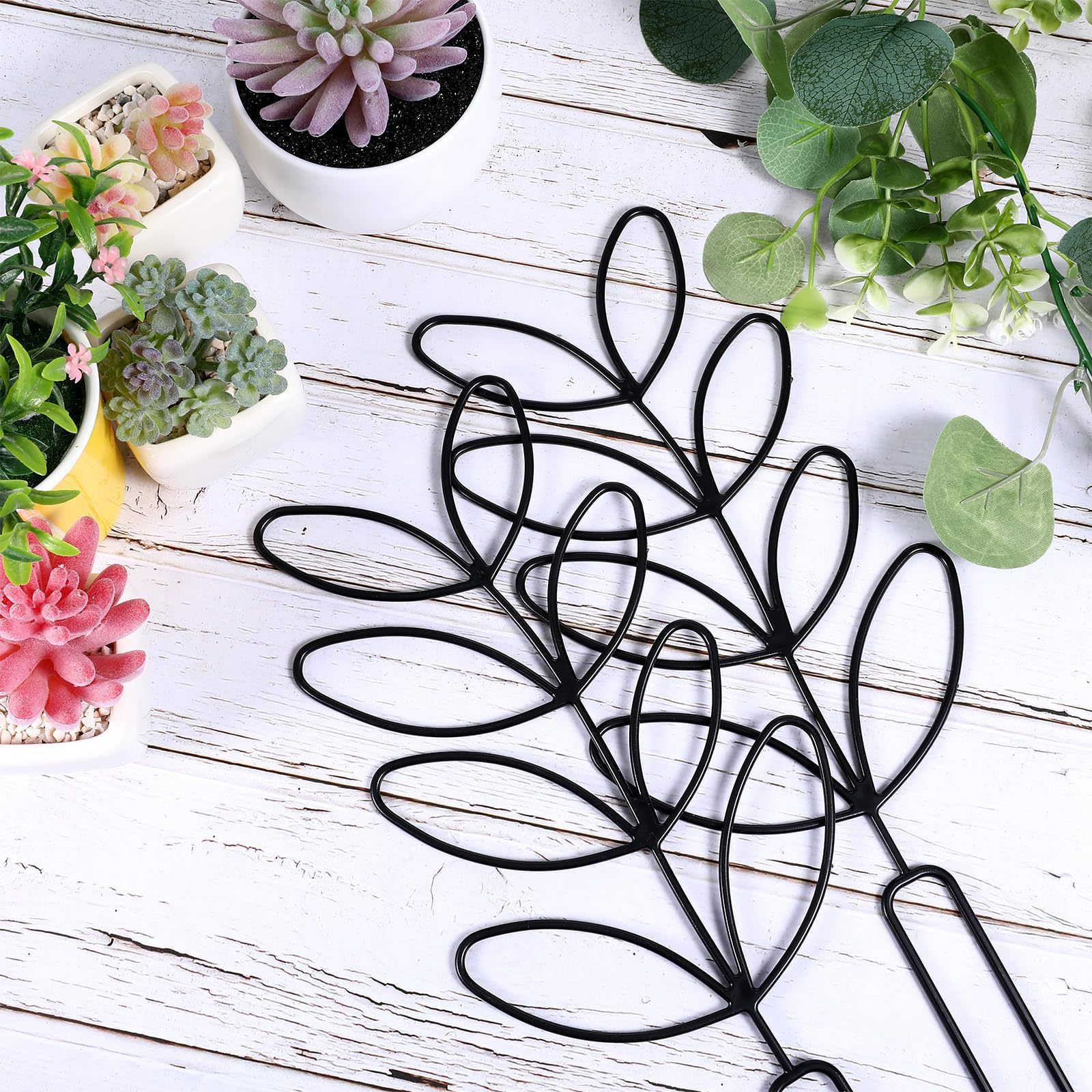 1PC Honeycomb Design Plant Tre - Vine Climbing Plastic review and price