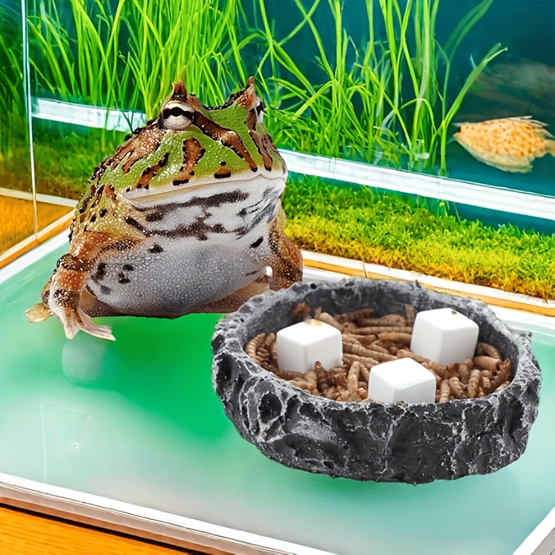 6 Pcs Fish Tank Calcium Block  - Calcium Powder Reptile review and price