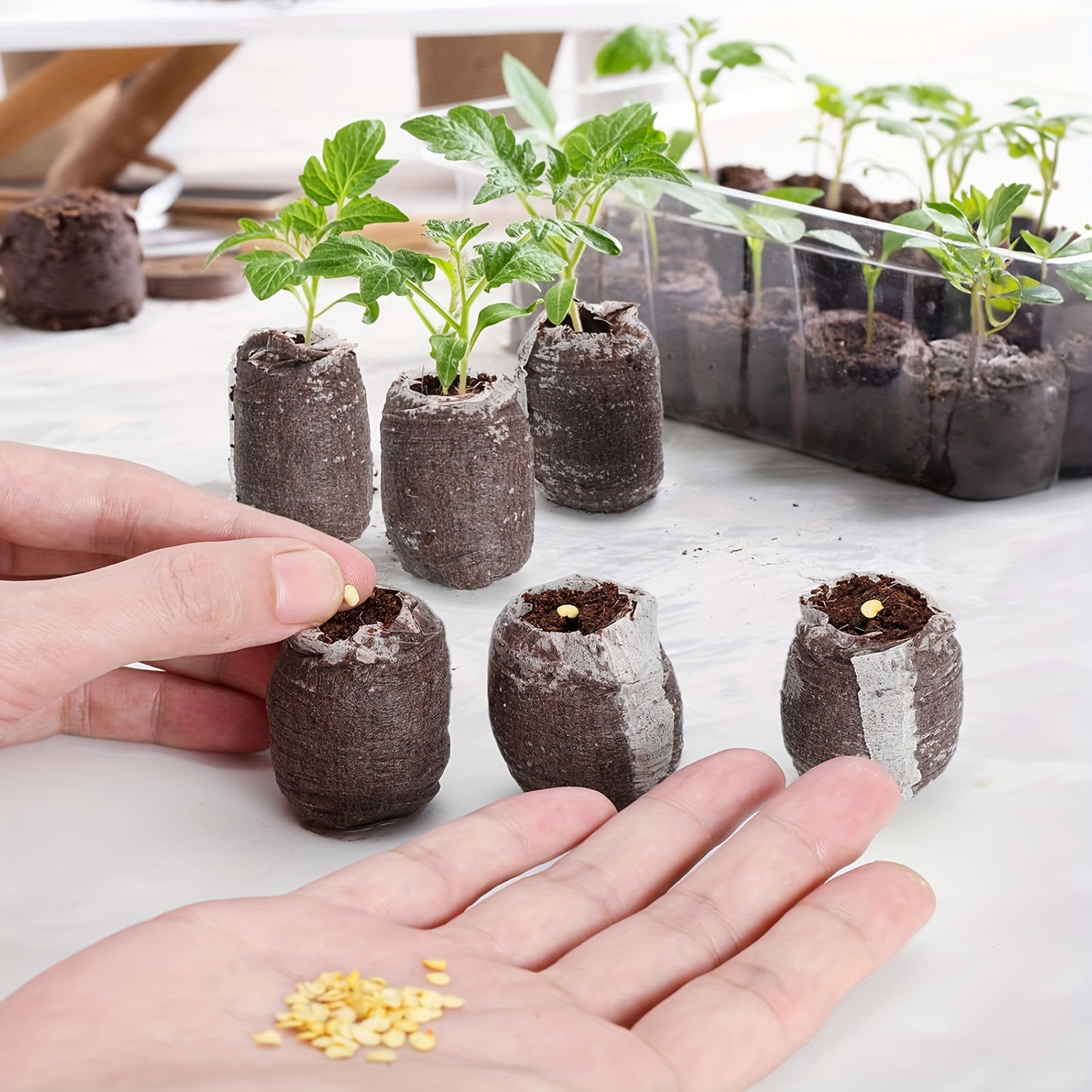 10/20/50pcs Plant Growth Bags  - Substrate Coconut Fiber review and price