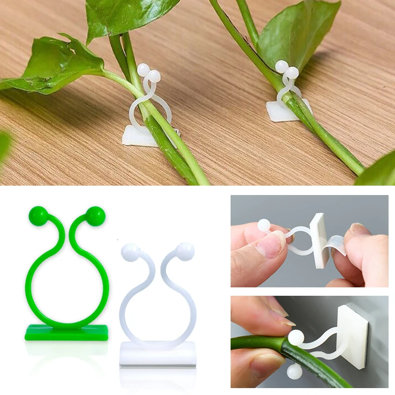 Plant Climbing Wall Self-Adhes - Vine Climbing Plastic review and price