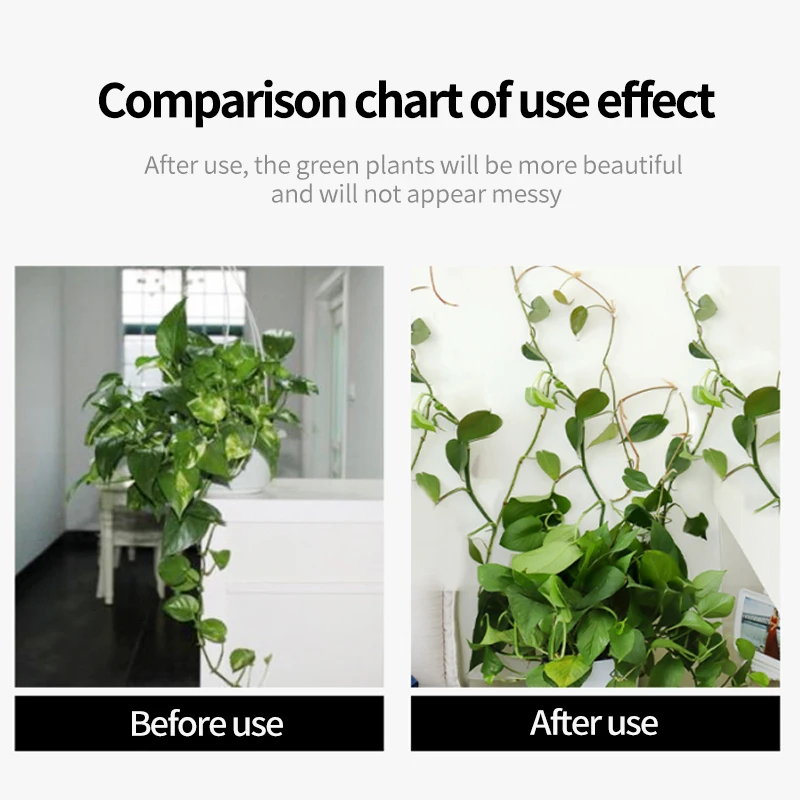Plant Climbing Wall Self-Adhes - Vine Climbing Plastic review and price