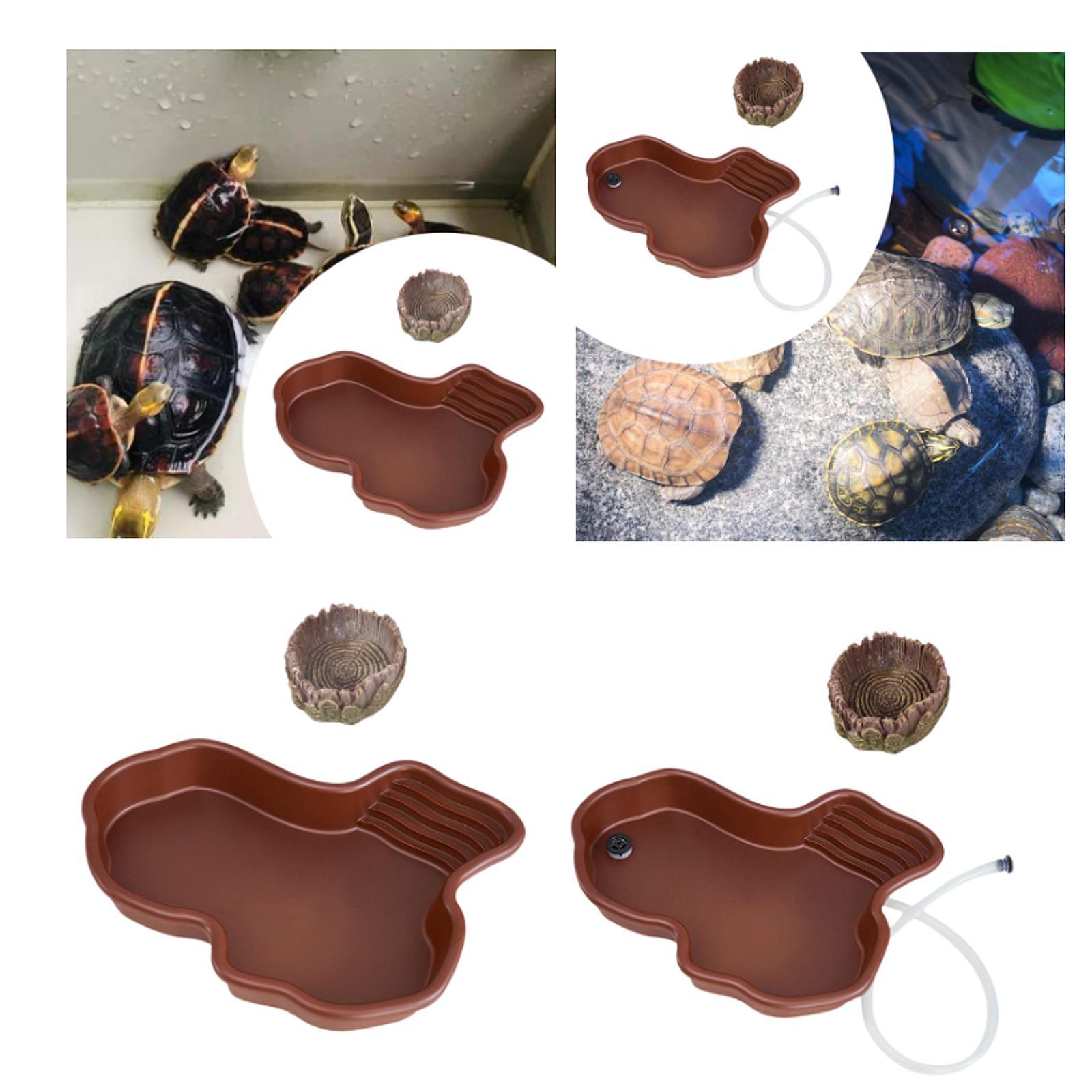 Reptile Feeding Dish Reptile B - Water Dish Reptile review and price
