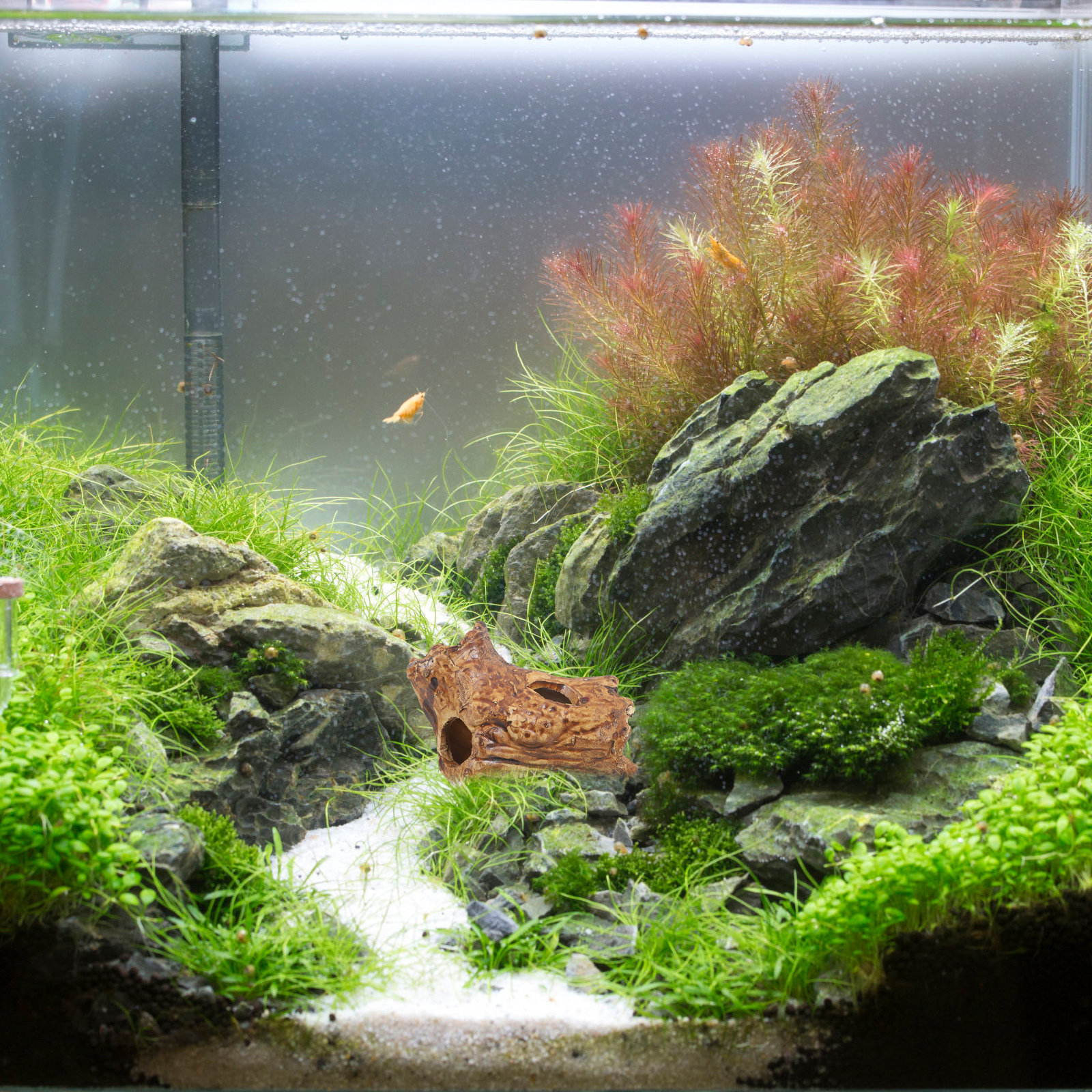 Shrimp Cave Fish Tank Decorati - Hide Cave Ceramic review and price