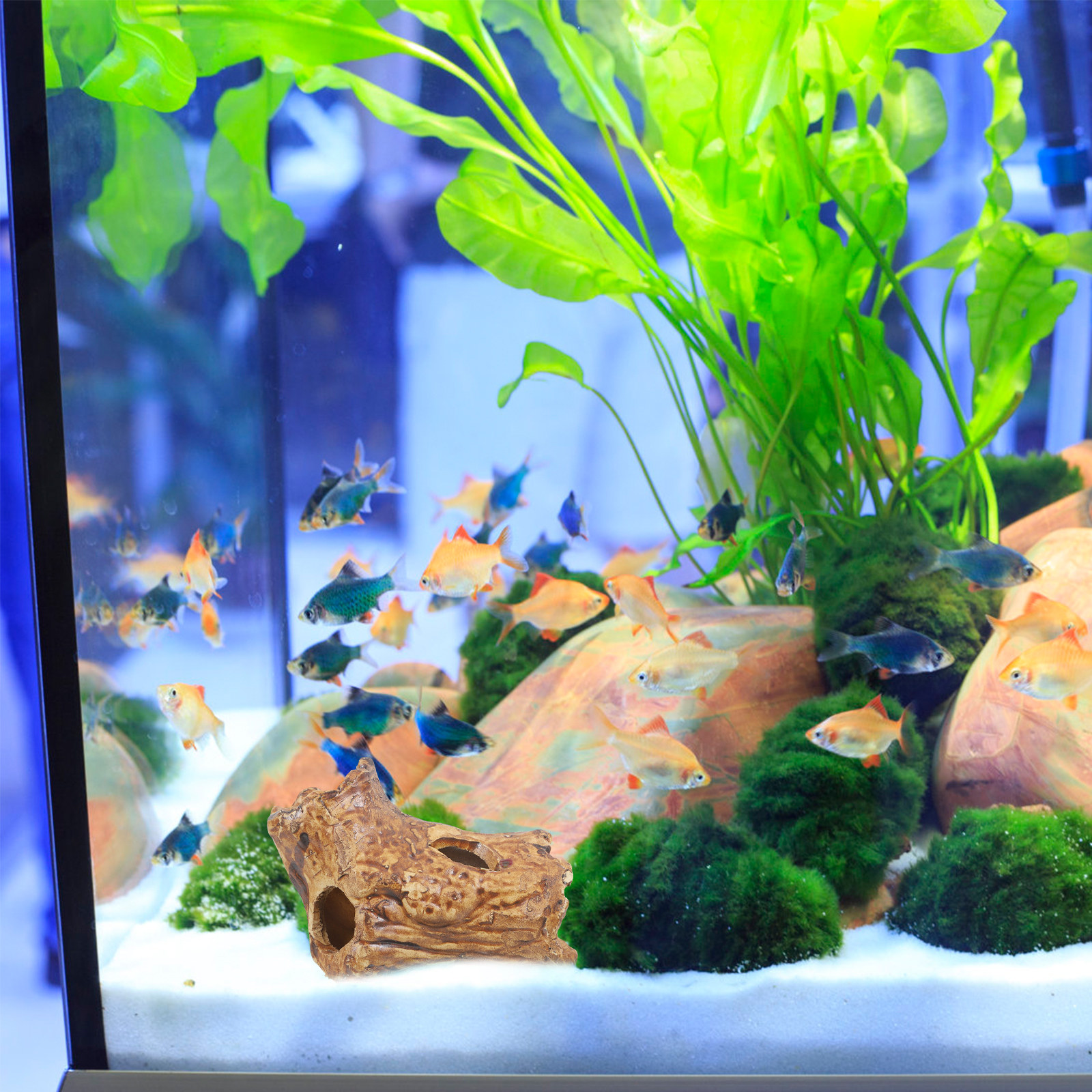 Shrimp Cave Fish Tank Decorati - Hide Cave Ceramic review and price